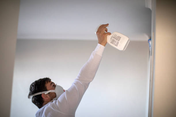 Best Home Mold Removal  in Boise City, OK