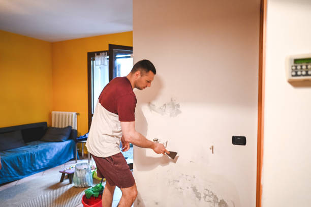 Best Fast Mold Removal  in Boise City, OK